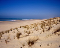France, Aquitaine, Gironde, View along sandy beach at Le Porge Ocean