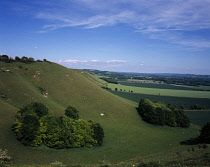 England, Wiltshire, View east from Knaphill