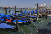 Italy, Venice, Church of Santa Maria della Salute across the Grand Canal as seen from the waterfront of the Piazzetta di San Marco with a row of gondolas in the foreground.