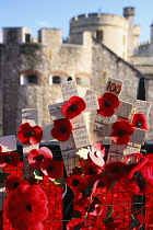 England, London, Tower Hamlets, Rembrance Red poppies and crosses at the Tower.