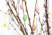 Festivals, Religious, Easter, Painted egg decorations hanging on branches of cherry blossom.