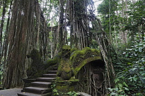 Indonesia, Java, Borobudur, Indonesia, Bali, Ubud, Dragon bridge beneath huge banyan tree, with mass of aerial roots, at Holy Spring Temple in Monkey Forest.