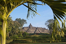 Indonesia, Java, Borobudur, View of monument, framed by large palm frond, from the sorrounding park.