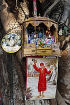 India, Maharashtra, Mumbai, Hindu shrine hung in a tree.