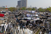 India, Maharashtra, Mumbai, The open-air laundry or dhobi ghat, Mahalaxmi.