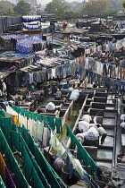 India, Maharashtra, Mumbai, Taditional outdoor laundry, the dhobi ghat, Mahalaxmi.