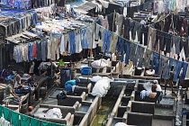 India, Maharashtra, Mumbai, Traditional open-air laundry, the dhobi ghat, Mahalaxmi.