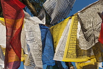 India, Sikkim, Gangtok, Brightly coloured Buddhist prayer flags fluttering in the breeze.