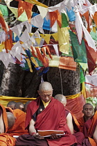 India, Bihar, Bodhgaya, Group of pilgrim Buddhist monks reading prayers beneath a tree decorated with prayer flags, in the grounds of the Mahabodhi Temple.