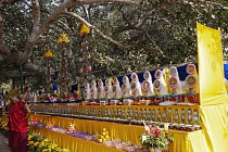 India, Bihar, Bodhgaya, Two Buddhist monks looking at celebrations for world peace beneath the bodhi tree where the Buddha gained enlightenment.