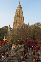 India, Bihar, Bodhgaya, While Buddhist monks prepare for prayer at the Mahabodi temple, pilgrims do their daily prostrations.