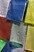 India, Bihar, Bodhgaya, Buddhist prayer flags in the grounds of the Mahabodhi Temple.