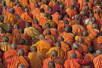 India, Bihar, Bodhgaya, Large group of seated monks, in the grounds of the Mahabodhi Temple, waiting for a prayer ceremony.