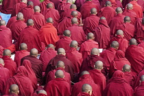 India, Bihar, Bodhgaya, Rear view of large group of seated Buddhist monks in the grounds of the Mahabodhi Temple.
