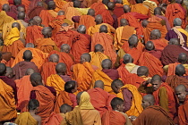 India, Bihar, Bodhgaya, Rear view of al arge group of seated pilgrims, dressed in saffron and orange robes, in the grounds of the Mahabodhi Temple.