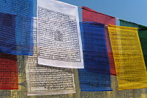 India, Bihar, Bodhgaya, Brightly coloured Buddhist prayer flags hanging in the grounds of the Mahabodhi Temple.