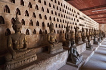 Laos, Vientiane, Wat Si Saket, Seated Buddhas and small Buddhas in niches.