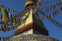 Nepal, Kathmandu, The top of the Great Steeple covered with resting birds, glowing at dusk, and showing two pairs of eyes and a mass of multi-coloured, Buddhist prayer flags.