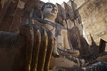 Thailand, Sukothai, Huge, enclosed, seated Buddha, with gold-painted, right-hand in the foreground, Wat Sri Chum.