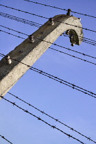 Poland, Auschwitz-Birkenau State Museum, Birkenau Concentration Camp, Close up of barbed wire fencing surrounding ruins of former accommodation blocks.