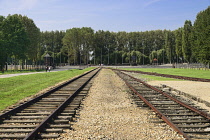 Poland, Auschwitz-Birkenau State Museum, Birkenau Concentration Camp, Railway tracks leading to area where the crematoria were located.