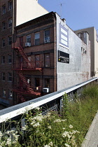 USA, New York State, New York City, Manhattan, The High Line public park on disused elevated railway track in the meat packing district.