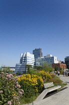 USA, New York State, New York City, Manhattan, The High Line public park on disused elevated railway track in the meat packing district.