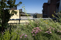 USA, New York State, New York City, Manhattan, The High Line public park on disused elevated railway track in the meat packing district.