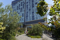 USA, New York State, New York City, Manhattan, The High Line public park on disused elevated railway track in the meat packing district.