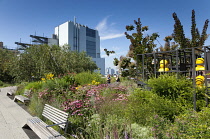 USA, New York State, New York City, Manhattan, The High Line public park on disused elevated railway track in the meat packing district.