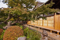 Shinagawa, Buildings and garden inside the zen Tokai-ji temple, Japanese architecture, wood, maple leaves.