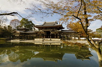 Japan, Kyoto, Uji, Byoodoo-in, reflecting pond,  golden red autumn maple leaves.