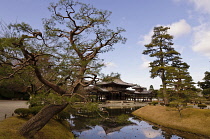 Japan, Kyoto, Uji, Byoodoo-in in background,  Pheonix on roof, large pine tree in foreground, reflecting pool.