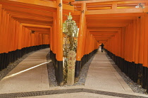 Japan, Kyoto, Fushimi Inari Taisha shrine, Corridor of vermillion  torii, the famous thousand toriis, double corridor.