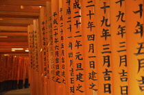 Japan, Kyoto, Fushimi Inari Taisha shrine, Corridor of vermillion  torii, the famous thousand toris.