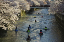 Japan, Tokyo, Meguro River crowd on bridge to view cherry trees visible on both banks of the river, jet skis ride up the river.