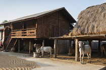 Myanmar, Mandalay, A farmhouse utilising bamboo to construct the walls, Yay Kyi village.