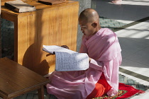 Myanmar, Mandalay, A young nun studying, Sakyadhita Thilashin Nunnery School, Sagaing.