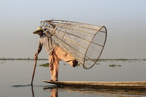 Myanmar, Shan State, Nyaung Shwe, Intha fisherman holding traditional fishing net, Inle Lake.