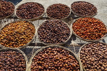 Uzbekistan, Samarkand, Trays of dried apricots for sale in an outdoor market.