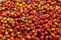 Uzbekistan, Samarkand, Rose hips for sale in an outdoor market.