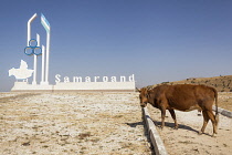 Uzbekistan, Samarkand sign and cow.