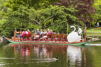 USA, Massachusetts, Boston, Swan boat, Boston Public Garden.