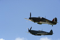 England, West Sussex, Chichester, Goodwood, Hawker Hurricane and Supermarine Spitfire flying in formation at the Battle of Britain celebration 2015