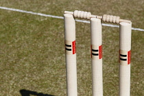 Sport, Ball, Cricket, Wooden Stumps.