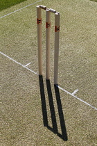 Sport, Ball, Cricket, Wooden Stumps.