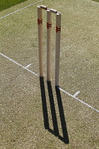 Sport, Ball, Cricket, Wooden Stumps.