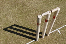 Sport, Ball, Cricket, Wooden Stumps.