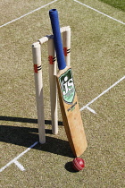 Sport, Ball, Cricket, Bat and ball next to stumps.