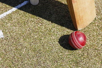 Sport, Ball, Cricket, Bat and ball next to stumps.